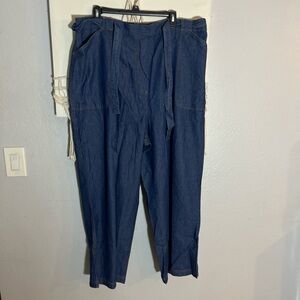 Blue Denim Pants Sz 24W